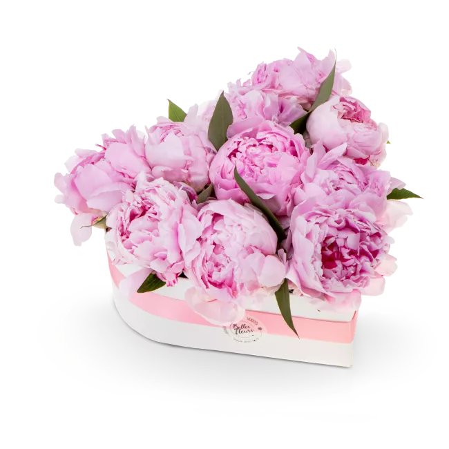 Květinový box pivoňek